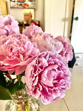 Load image into Gallery viewer, Adopt a Peony Program
