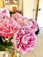 Load image into Gallery viewer, Adopt a Peony Program