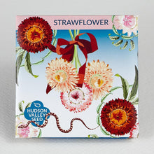 Load image into Gallery viewer, Strawflower seeds
