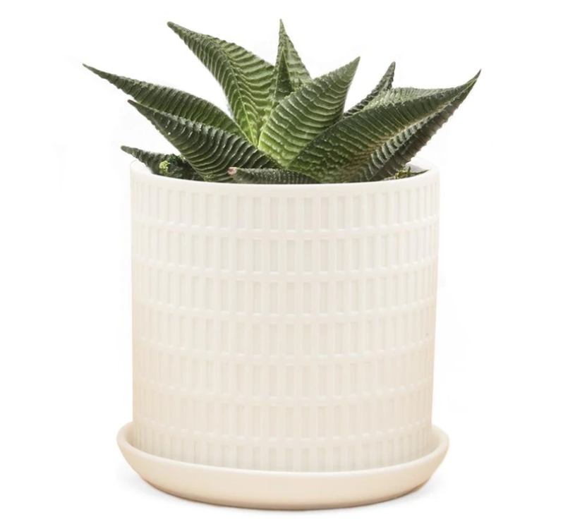 mini planters